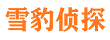 铁锋寻人公司